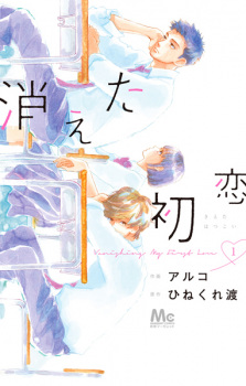 Kieta Hatsukoi (My Love Mix-Up!)